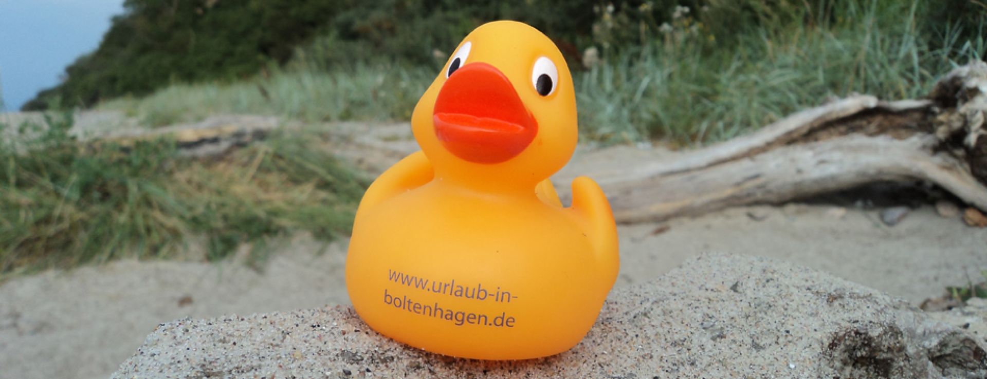 BAIS Ente am Strand