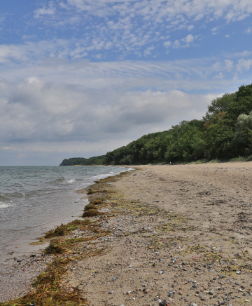 Wellen legen sich an einen Strand. 
