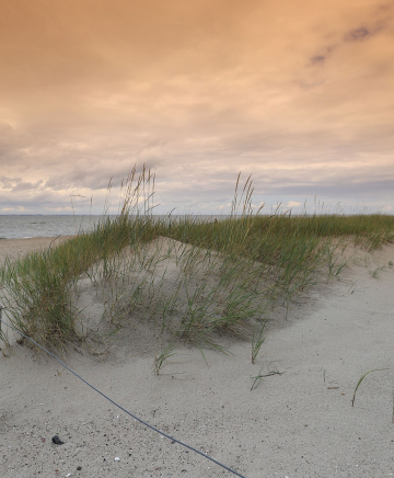 Ein Strand Ein Zaun begrenzt die Düne. Der Himmel leuchtet golden.