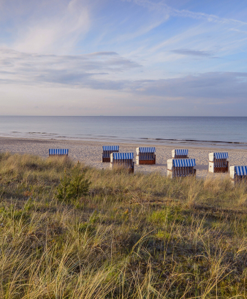 Strand mit Strandbewuchs, Strandkörben und Seebrücke und Stilküste im Hintergrund