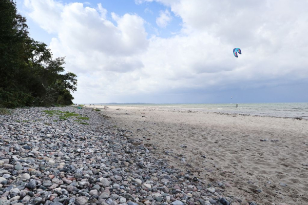 Groß Schwansee - Kilometerlange Naturstrände laden zum Verweilen ein