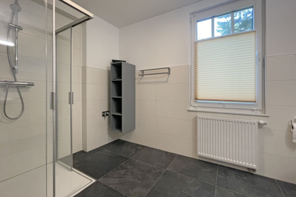 Waldfrieden Whg. 8 - Blick in das Tageslichtbad mit Dusche