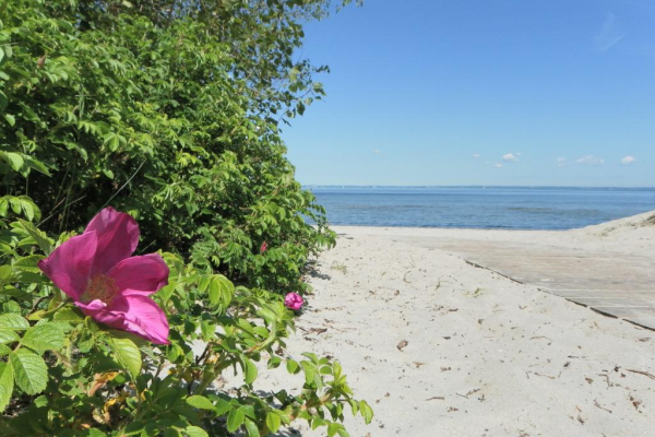 Blick auf einen Strandzugang und die Ostsee