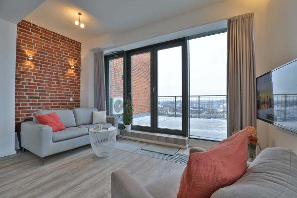 Ohlerich Speicher App.45 - offener Wohnbereich mit Terrassenzugang