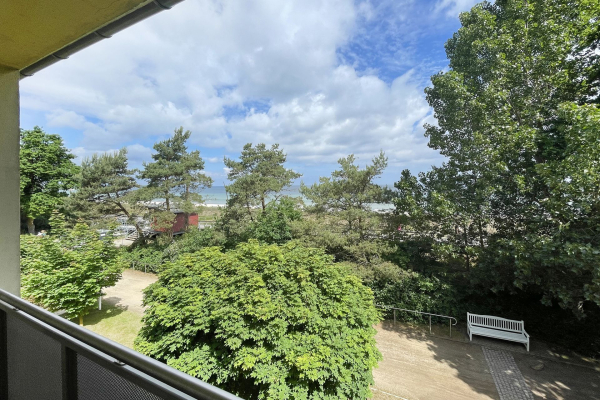 Strandflieder - Ausblick von der 2. Etage auf die Ostsee