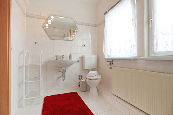 Drews - Blick in das Tageslichbad mit Badewanne