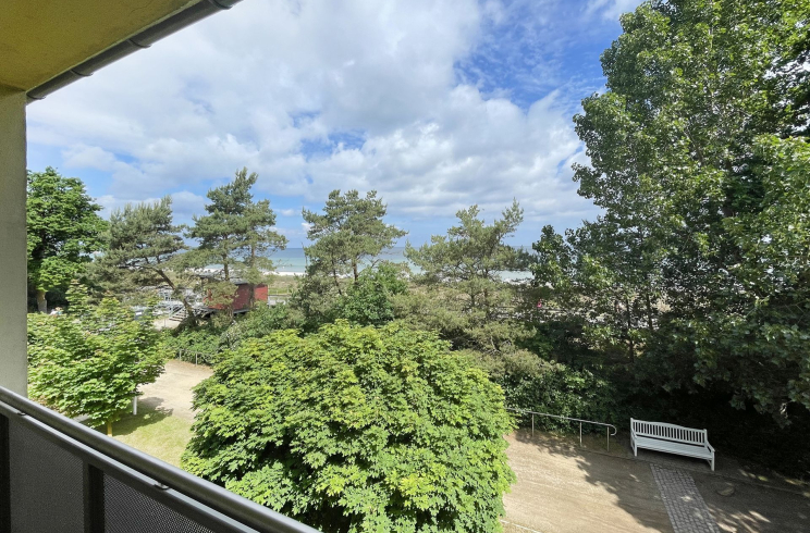 Strandflieder - Ausblick von der 2. Etage auf die Ostsee