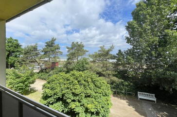 Strandflieder - Ausblick von der 2. Etage auf die Ostsee