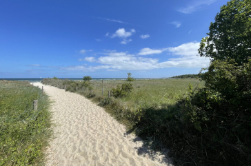 Ostseebad Boltenhagen - Blick auf den Hundestrand - Strandaufgang 22