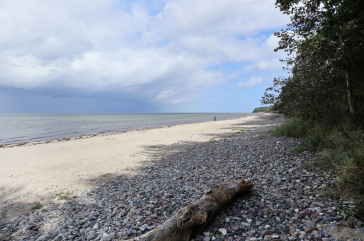 Groß Schwansee - Kilometerlange Naturstrände laden zum Verweilen ein