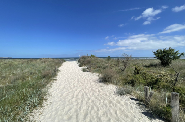 Ostseebad Boltenhagen - Blick auf den Hundestrand - Strandaufgang 22