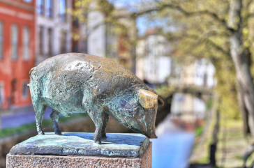 Hansestadt Wismar - Blick auf eines der 4 Bronzeschweine an der Schweinsbrücke