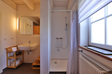 Ruhe-Insel Ferienhaus - Blick in das Duschbad mit Sauna im EG