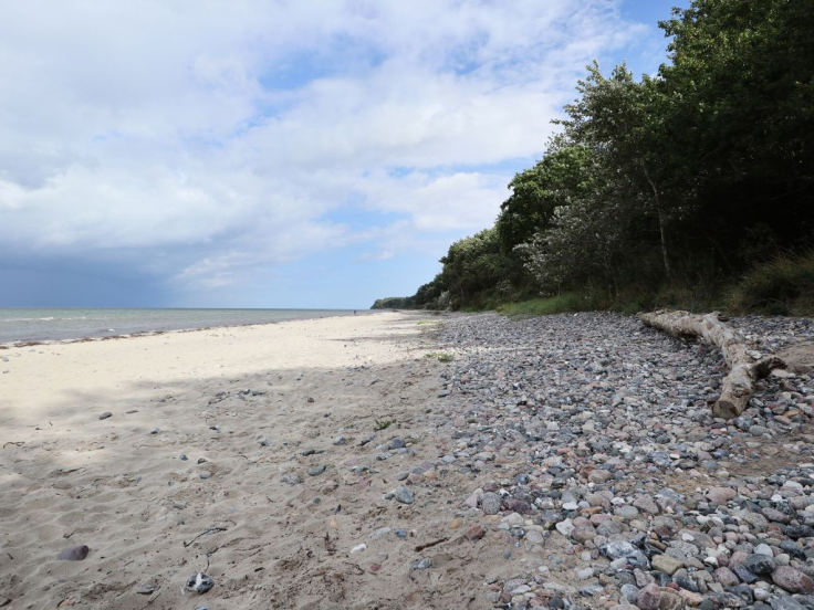 Groß Schwansee - Blick auf den Naturstrand