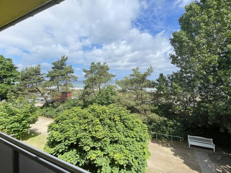 Strandflieder - Ausblick von der 2. Etage auf die Ostsee