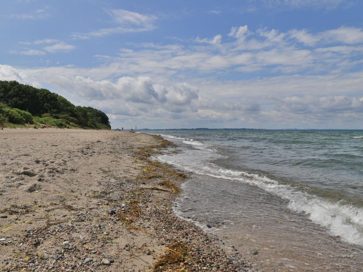 Groß Schwansee - Blick auf den wunderschönen Naturstrand (Richtung Travemünde)