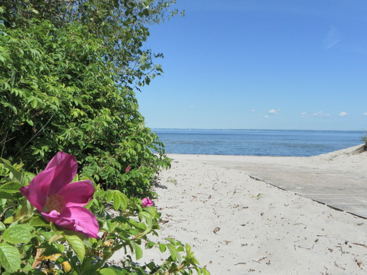 Barendorf - Blick auf den wunderschönen Naturstrand