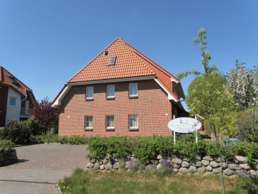 Seepferdchen