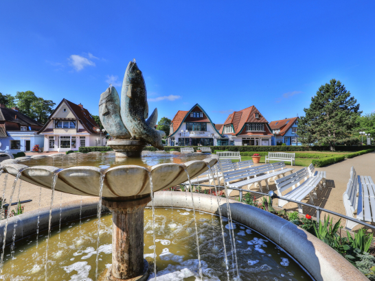 Ein Springbrunnen mit Fischskulpturen. Im Hintergrund Villen.