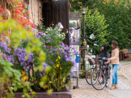 Zwei Radfahrerinnen stehen neben ihren Rädern und schauen Malereien an. Im Vordergrund üppig blühende Blumen.