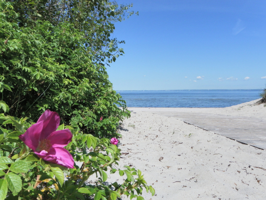 Einer der Strandzugänge in Barendorf
