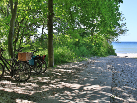 Mit dem Fahrrad entlang des Ostseeküstenradweges